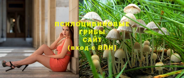 меф Алексин