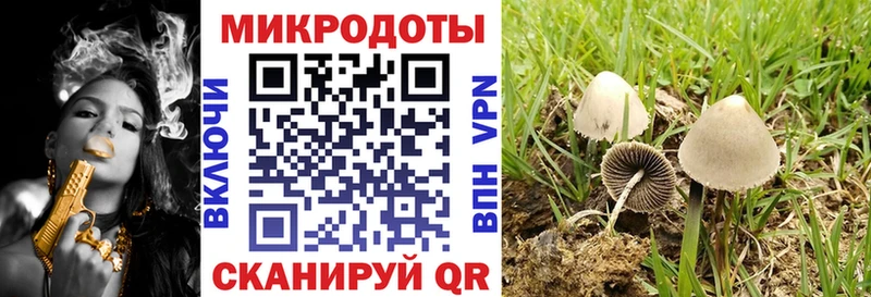 Галлюциногенные грибы Magic Shrooms  ссылка на мегу вход  Белгород 