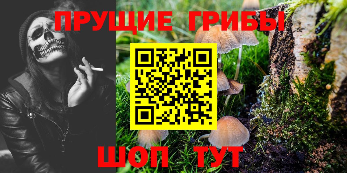 где купить наркоту  Вход с VPN  Белгород  Галлюциногенные грибы мухоморы 