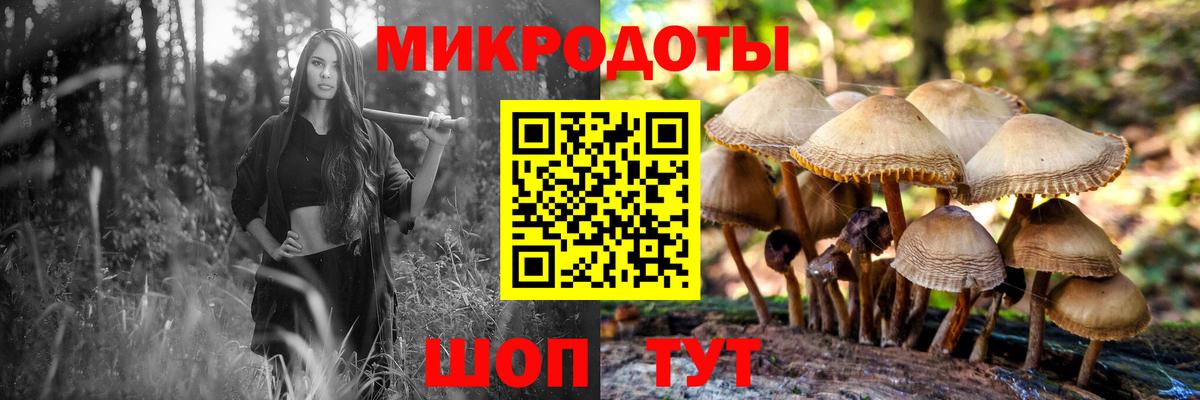 Галлюциногенные грибы GOLDEN TEACHER Белгород