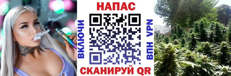 Шишки марихуана MAZAR  мега как зайти  Белгород 