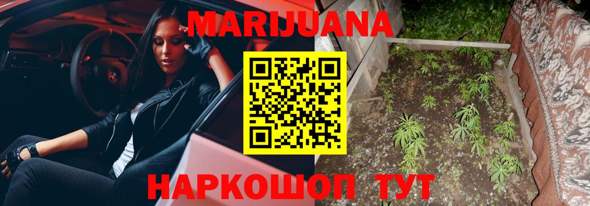 МАРИХУАНА семена  Вход с VPN  Белгород  Каннабис AK-47  Канабис Bruce Banner 